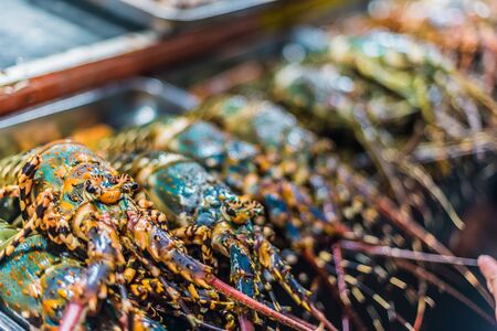 Traditional Vietnamese street food sold in Da Nang night market, Vietnamの写真素材