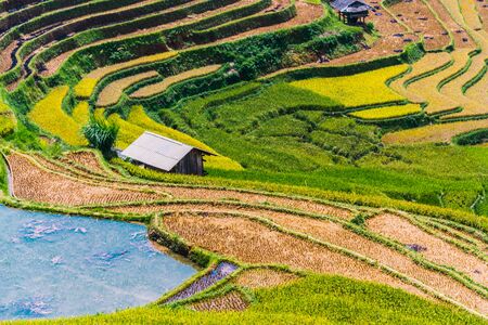 Landscape view of rice fields in Mu Cang Chai District, Yen Bai Province, North Vietnamの写真素材