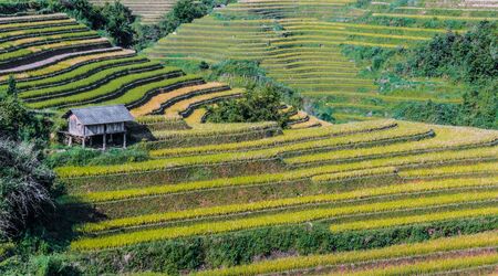 Landscape view of rice fields in Mu Cang Chai District, Yen Bai Province, North Vietnamの写真素材