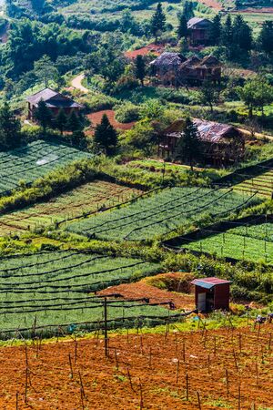 Small scale agriculture in Sapa in Lao Cai Province in northwest Vietnamの写真素材