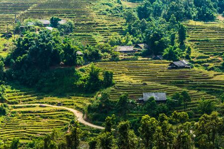 Landscape view of Sapa Valley in Lao Cai Province in northwest Vietnamの写真素材