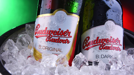 POZNAN, POL - NOV 7, 2019: Bottles of Budweiser Budvar, one of the highest selling beers in the...