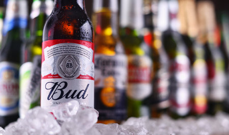 POZNAN, POL - DEC 23, 2019: Bottles of famous global beer brands including Heineken, Becks, Bud,...