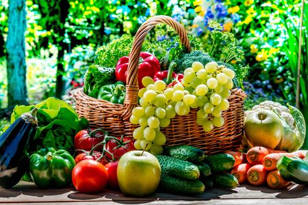 Variety of fresh organic vegetables and fruits in the garden. Balanced dietの写真素材
