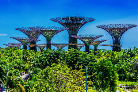 SINGAPORE - FEB 29, 2020: Gardens by the Bay, nature park in the Central Region of Singapore, adjacent to the Marina Reservoirのeditorial素材