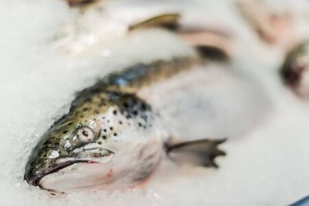 Fish put up for sale at a supermarket stall.の写真素材