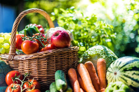 Variety of fresh organic vegetables and fruits in the garden. Balanced diet