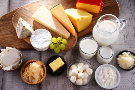 A variety of dairy products including cheese, milk and yogurt.の写真素材