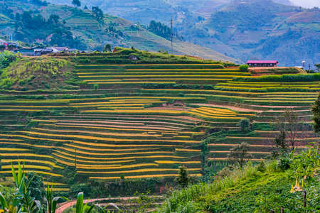 Landscape view of rice fields in Mu Cang Chai District, Yen Bai Province, North Vietnamの写真素材