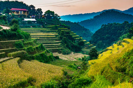 Landscape view of rice fields in Mu Cang Chai District, Yen Bai Province, North Vietnamの写真素材