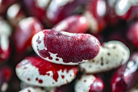 Close-up of kidney beans.の写真素材