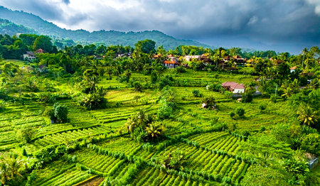 Agricultural landscape of Sidemen, in Karangasem Regency, Bali, Indonesiaの写真素材