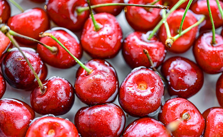 Composition with fresh ripe sweet cherries.の写真素材