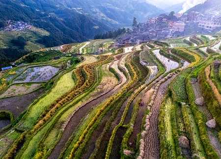 Aerial view of Jiabang Rice Terraces in the Congjiang County, Guizhou province, Chinaの写真素材