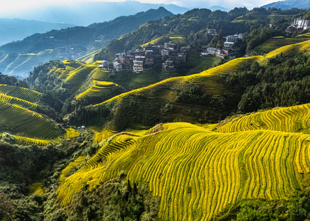 Aerial view of Longsheng Rice Terraces in the Guangxi Region, China