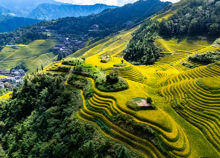 Aerial view of Longsheng Rice Terraces in the Guangxi Region, Chinaの写真素材