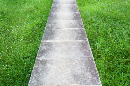 nature trailsの写真素材