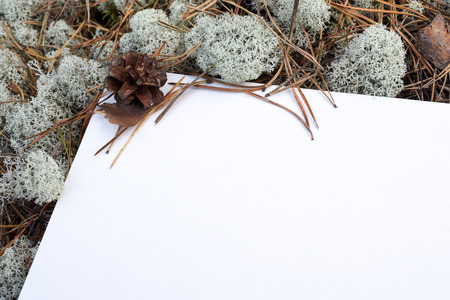 Blank letterhead, frame for filling text, outdoors in the northern forestの写真素材