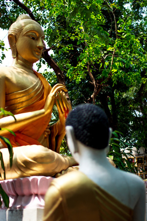 Buddha statueの写真素材