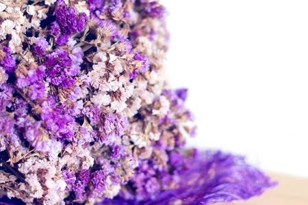 Purple dry flowers on a white background.の写真素材