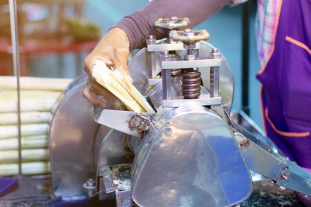 man squeezes a sugar cane to make fresh, organic juice with a hand powered juicer. Healthy product.の写真素材