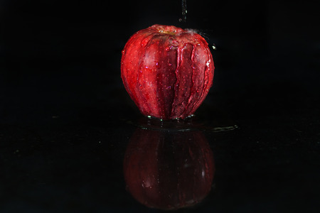 Appleの写真素材