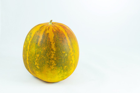 cantaloupeの写真素材