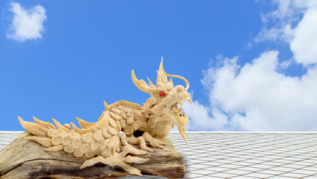 Dragonの写真素材