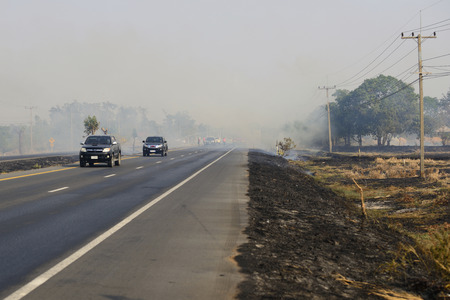 Burning dry grass along the road, causing a hazard.の写真素材