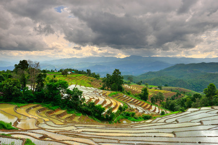 Rice terraces Doi Inthanon in Chiang Mai, Thailand.の写真素材