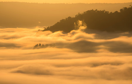 A light morning mistの写真素材