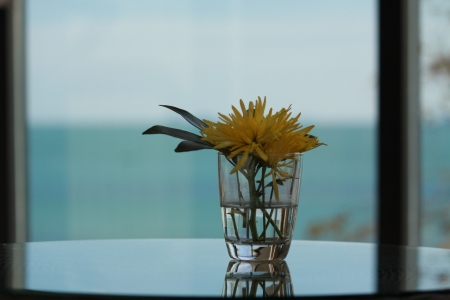 yellow flower in glassの写真素材