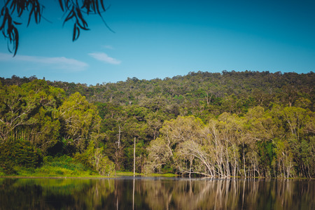 Forest and lake  with bluesky landscape. Toned photo.の写真素材