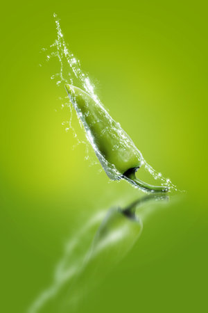 The water splashes on the green bell pepper until the water spreads on the green background.の写真素材