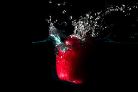 The apple falls into the black water until the sponge splits beautifully on the black background.の写真素材