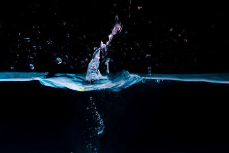 Blue water waves with beautiful bubbles on a black background.の写真素材