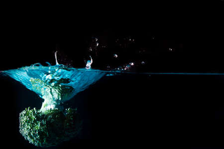 Vegetables fall into the blue water until the sponge splits beautifully on a black background.の写真素材