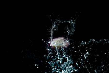 The onion cut in half, purple, fresh and white fell into the water until the water spread, creating beautiful bubbles in a black background.の写真素材