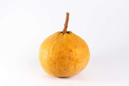 santol round fruit, yellow skin, thick flesh, edible The seeds are white. Thai fruit on a white backgroundの写真素材