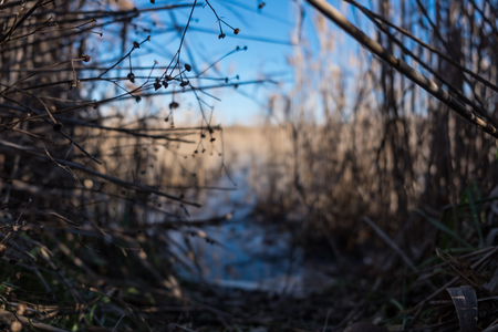 Lake of Verucchioの写真素材