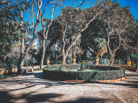 Garden in Vallettaの写真素材