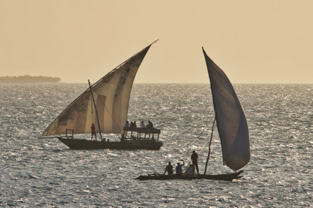 Boats in the bay of the island of Zanzibarの写真素材