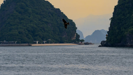 Halong Bay is a popular tourist destination in Vietnam.の写真素材