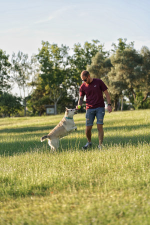 Young man playing with his dog in the park on a sunny day