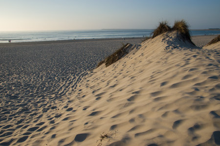 Dunes on the beach of the Baltic Sea at sunset in Poland