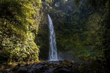 Waterfall in the rainforest of Bali island, Indonesia.