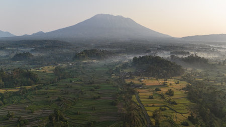 Aerial view of rice terraces in Bali, Indonesia.