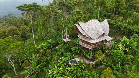 Aerial view of a hut in the rainforest of Bali