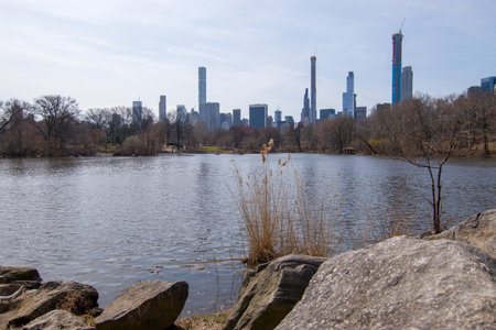 Central Park in New York City, USA. Central Park is one of the largest parks in the United States.の写真素材