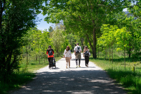 Family walking along a path in the park on a sunny summer dayの写真素材